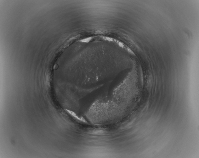 X0000113610643200910091542