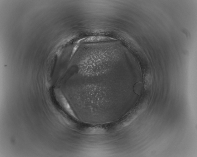 X0000113610644200910091542