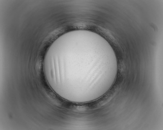 X0000113610645200910091542