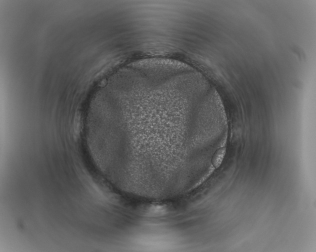 X0000113610647200910091542