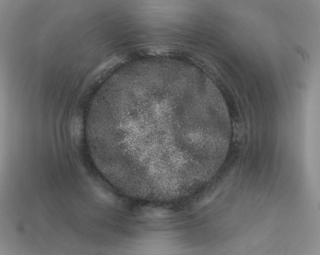 X0000113610648200910091542