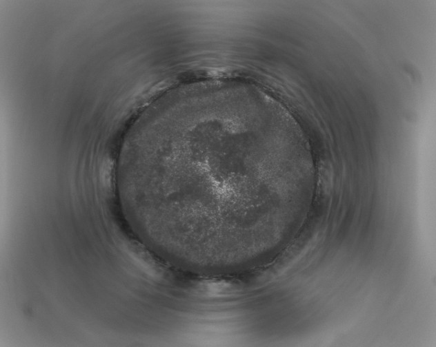 X0000113610650200910091542