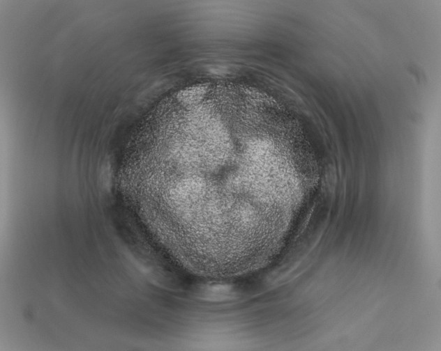 X0000113610651200910091542