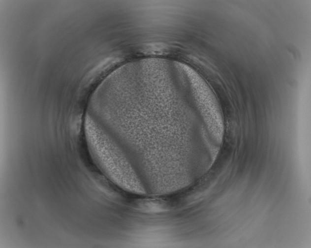 X0000113610652200910091542