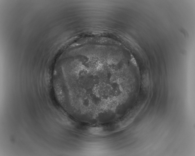 X0000113610653200910091542