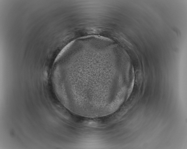 X0000113610655200910091542