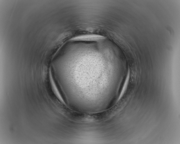 X0000113610656200910091542