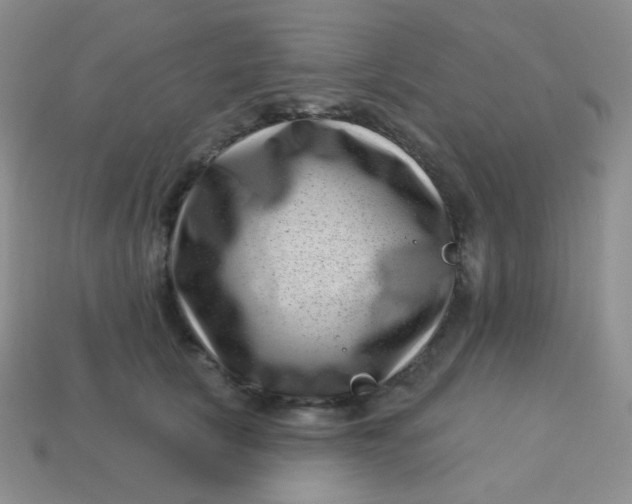 X0000113610657200910091542