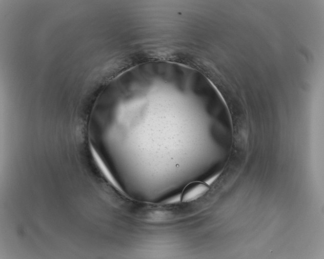 X0000113610658200910091542