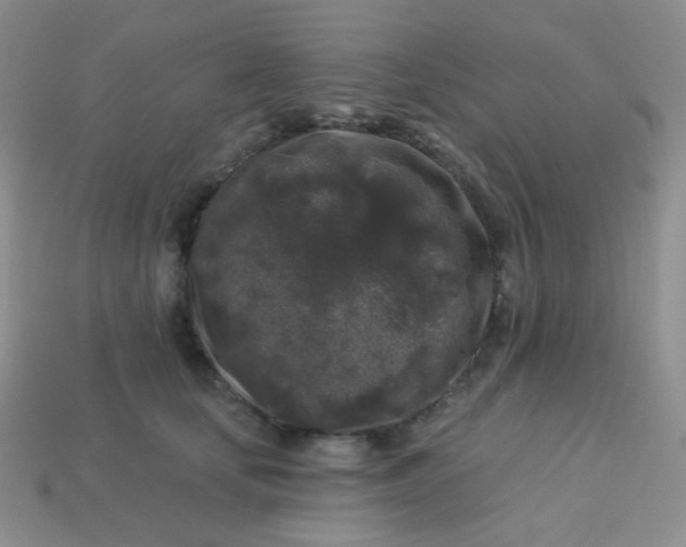 X0000113610659200910091542