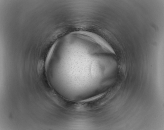 X0000113610660200910091543