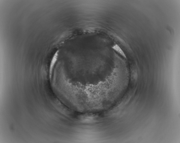 X0000113610661200910091543