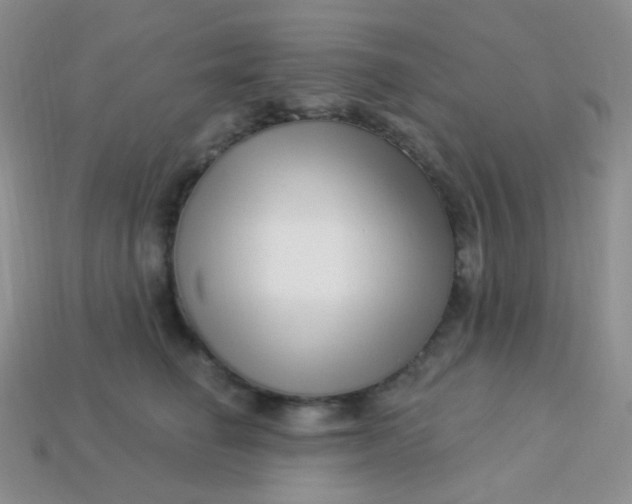 X0000113610662200910091543