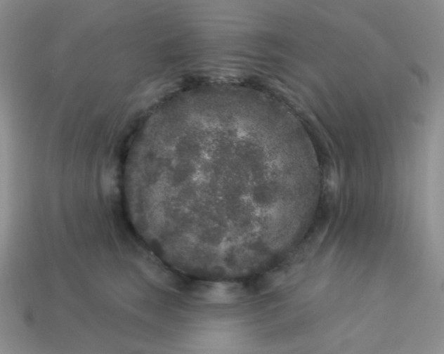 X0000113610663200910091543