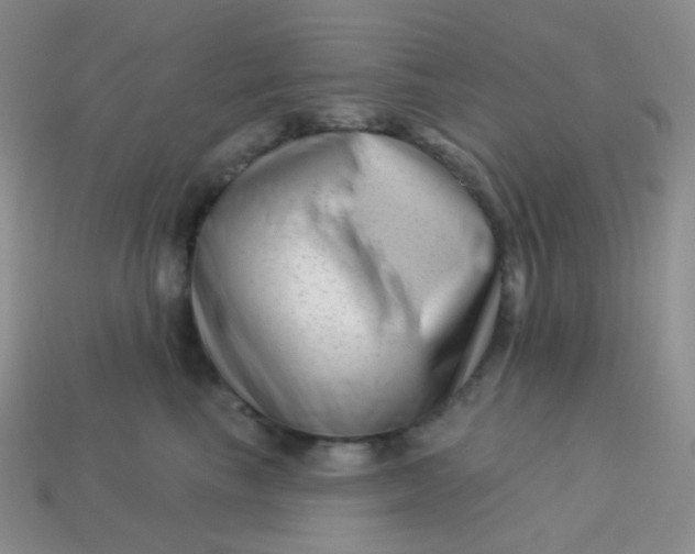 X0000113610665200910091543