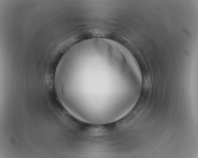 X0000113610666200910091543