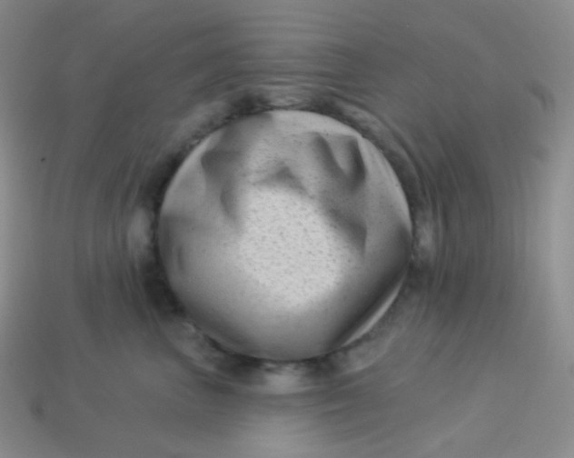 X0000113610667200910091543