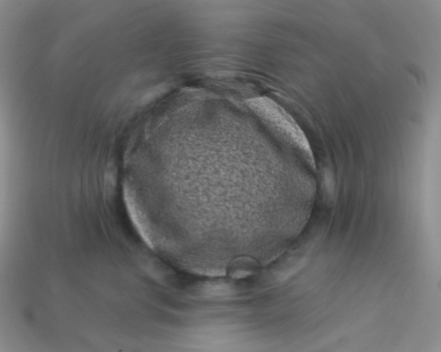 X0000113610668200910091543