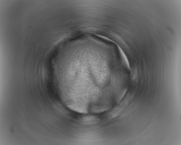 X0000113610669200910091543