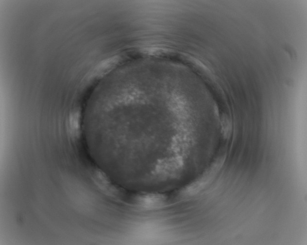 X0000113610670200910091543