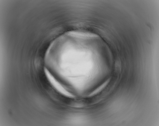 X0000113610671200910091543