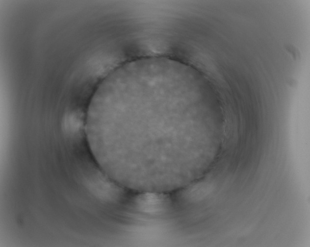 X0000113610672200910091543