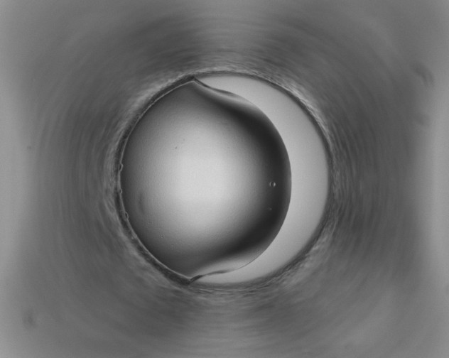 X0000113610673200910091542