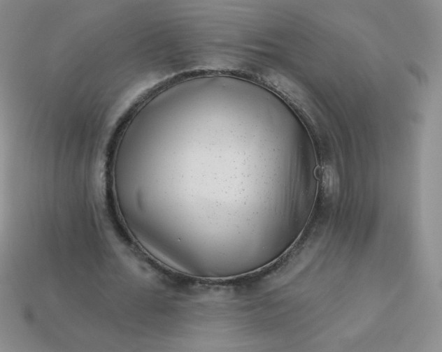 X0000113610676200910091542