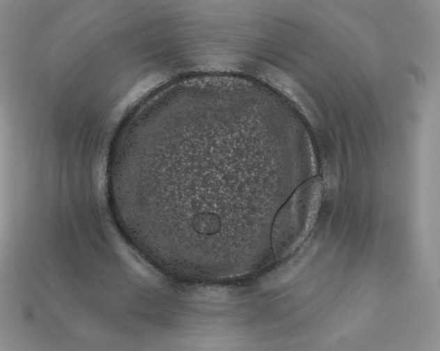 X0000113610677200910091542