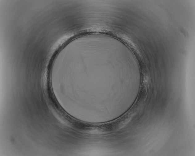 X0000113610678200910091542