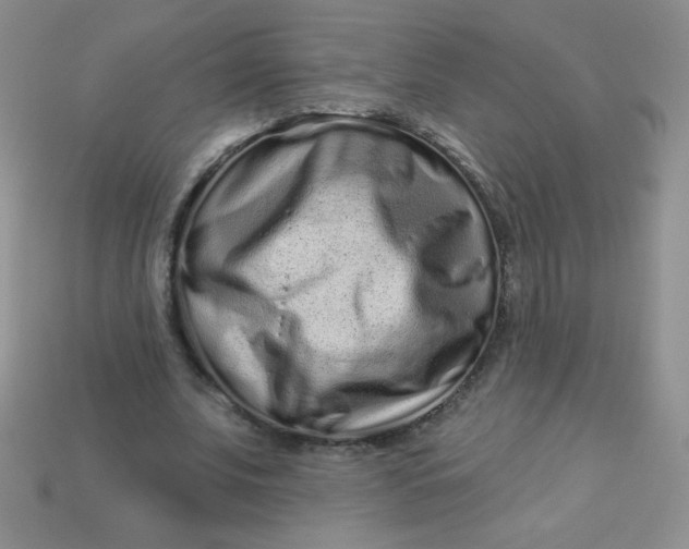 X0000113610679200910091542