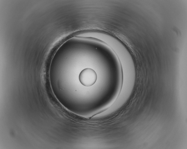 X0000113610680200910091542