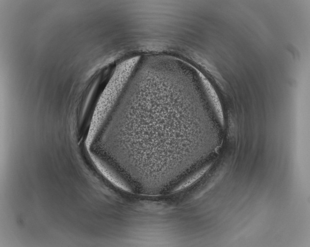 X0000113610681200910091542