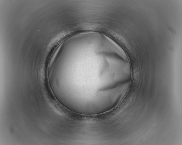 X0000113610682200910091542