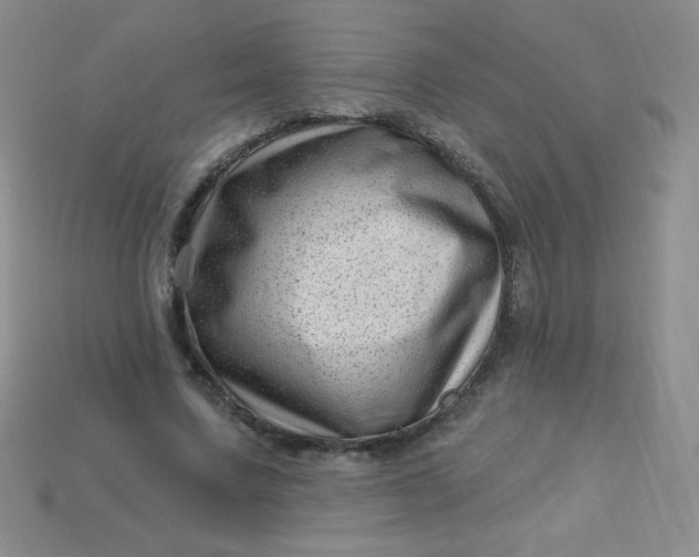 X0000113610683200910091542