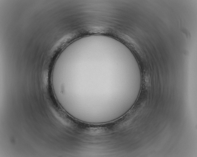 X0000113610686200910091542