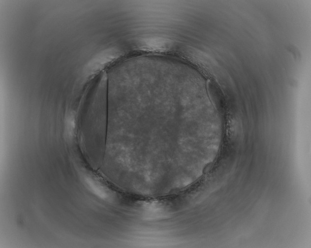 X0000113610688200910091542