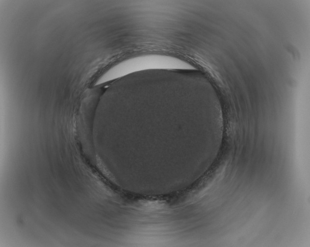 X0000113610689200910091542