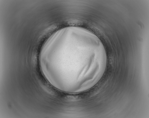 X0000113610690200910091542