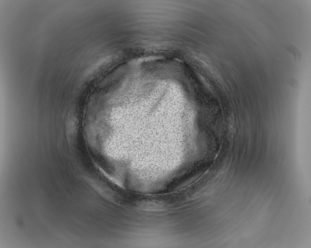 X0000113610691200910091542