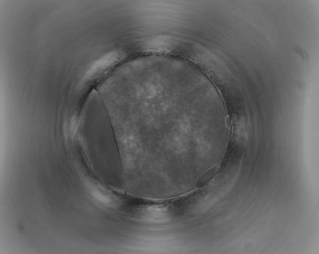 X0000113610692200910091542