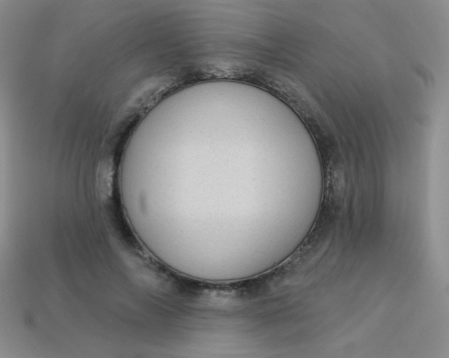 X0000113610694200910091542