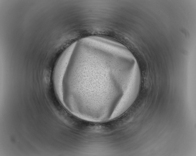 X0000113610695200910091542