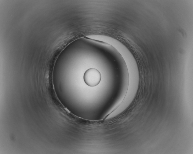 X0000113610696200910091542