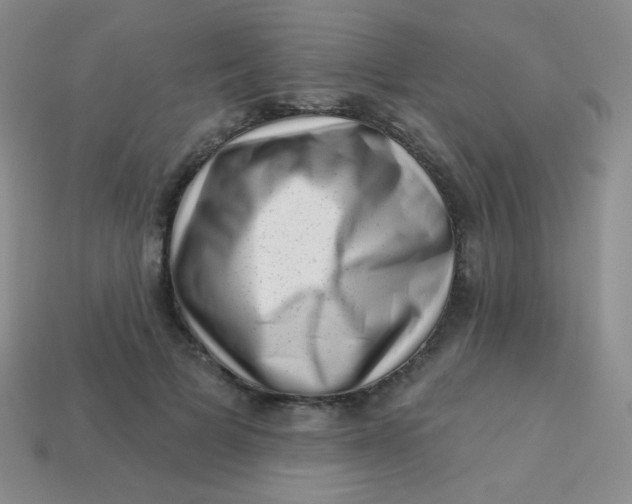 X0000113610697200910091542