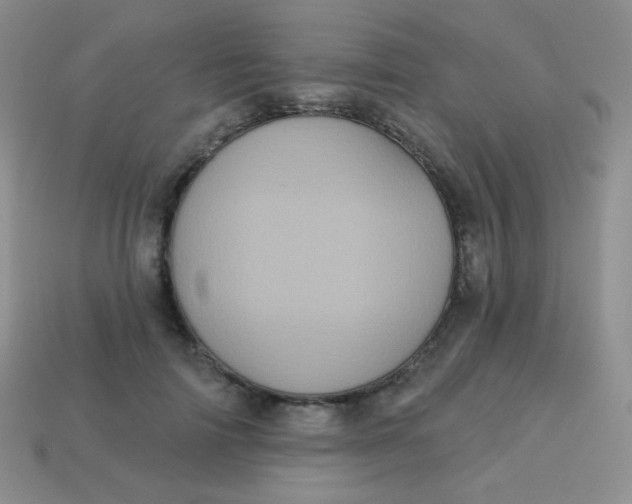 X0000113610698200910091542