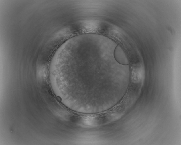 X0000113610701200910091542