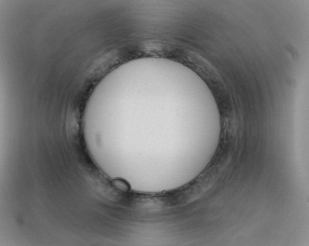 X0000113610702200910091542