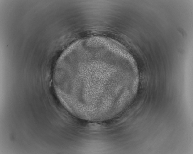 X0000113610703200910091542