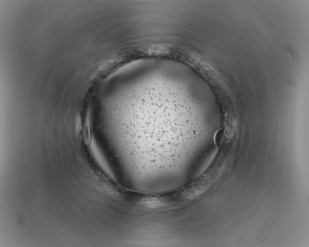 X0000113610704200910091542